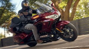 Honda Gold Wing-Pro-Link-Suspension